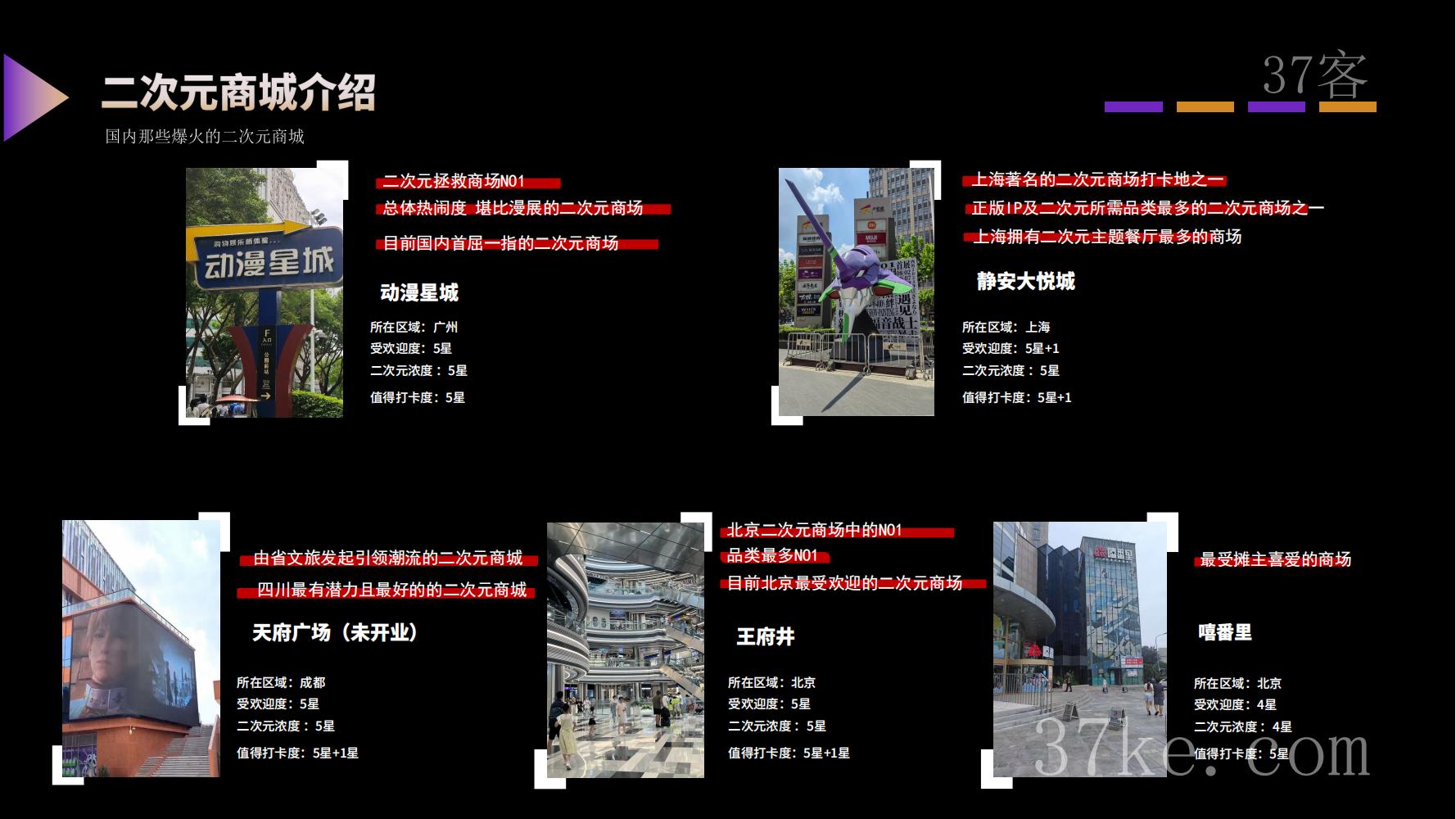 山东XX文旅漫展调查报告2024年版