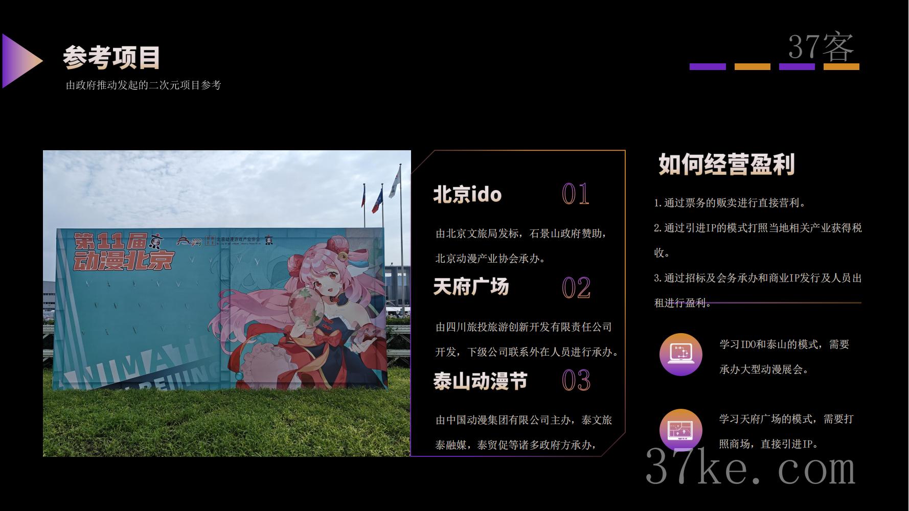山东XX文旅漫展调查报告2024年版